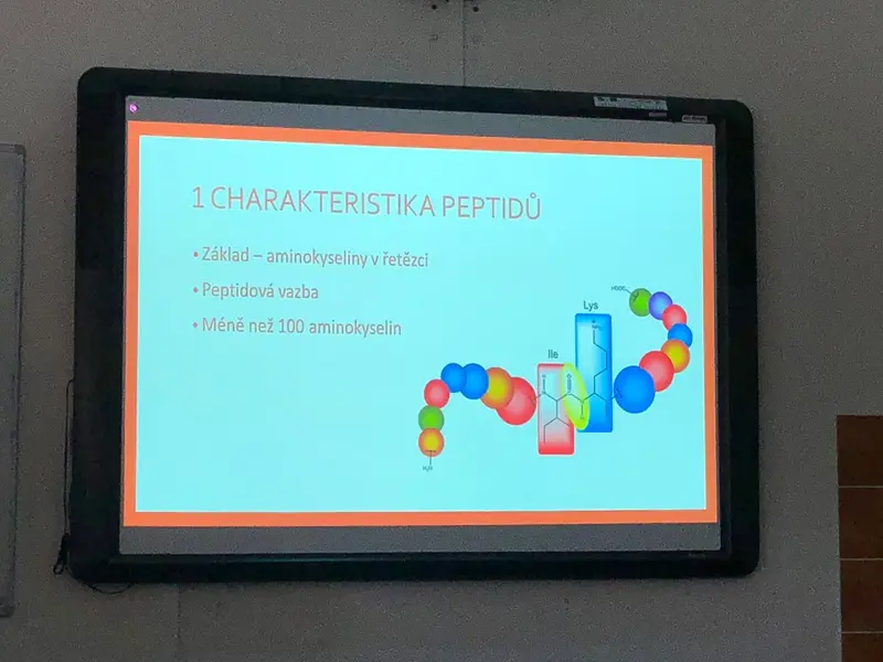 Fanda 2018