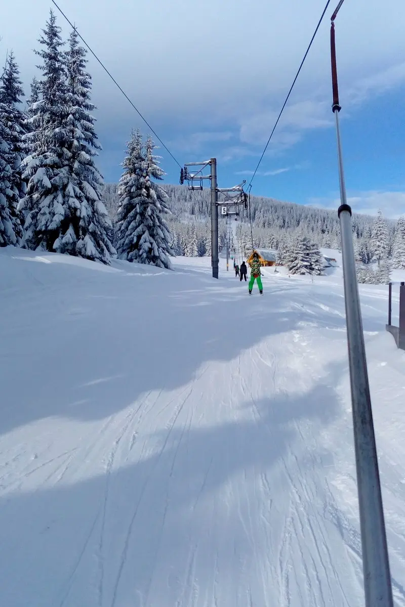 Lyžák 2018