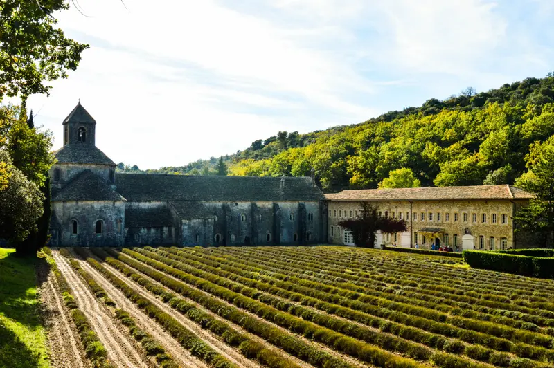 9935_Provence/030