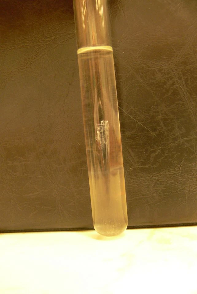 9981_Dilna_DNA/05