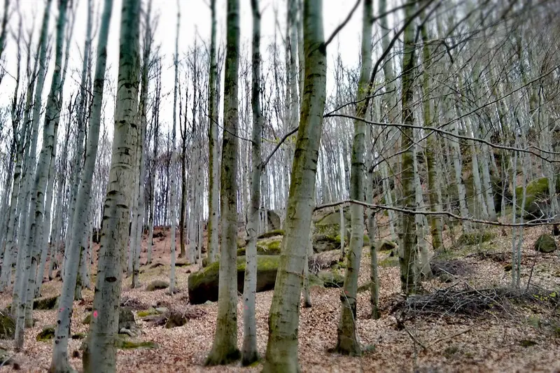 05-Vojtěch Vlk