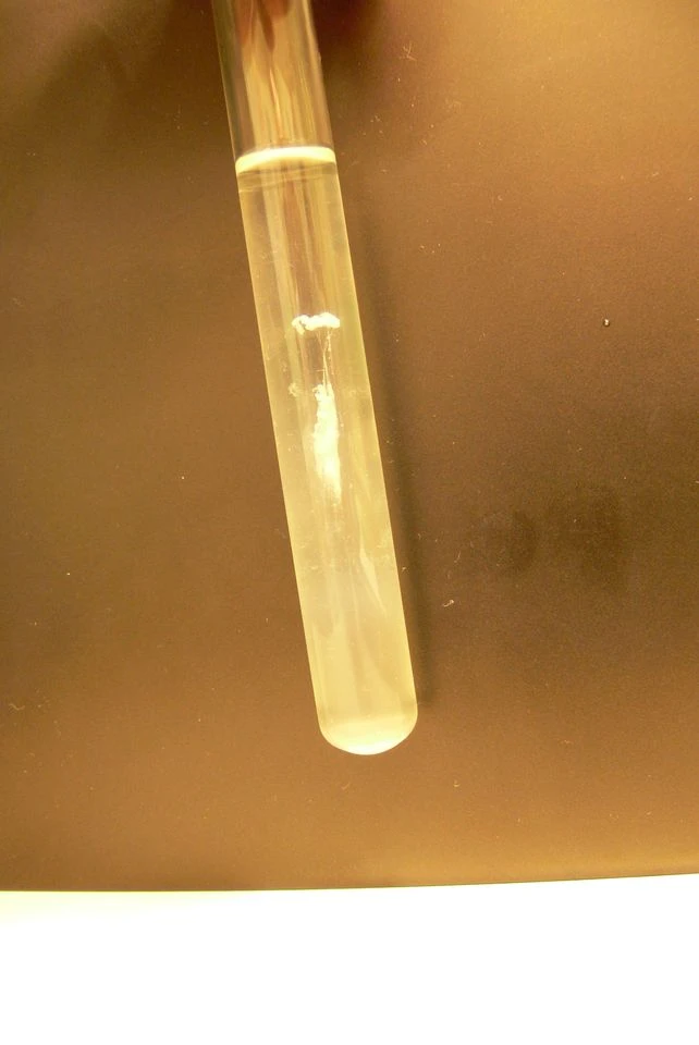 9981_Dilna_DNA/06