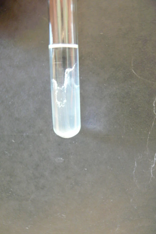9919_dilnaDNA_17/07_DNA_17