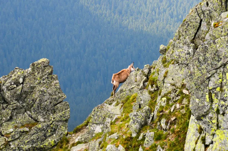 9888_Tatry_17/08_TATRY_17