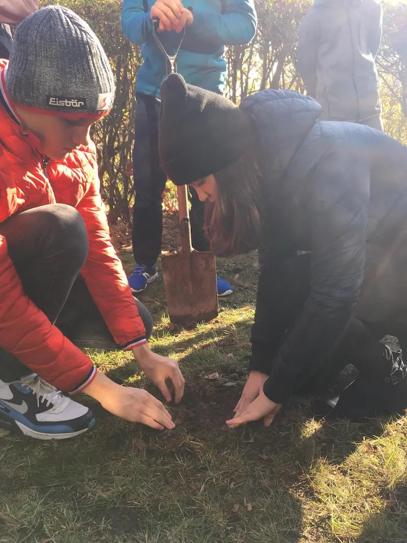 Mezinárodní projekt Krokus