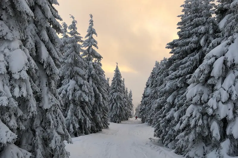 Lyžák 2018