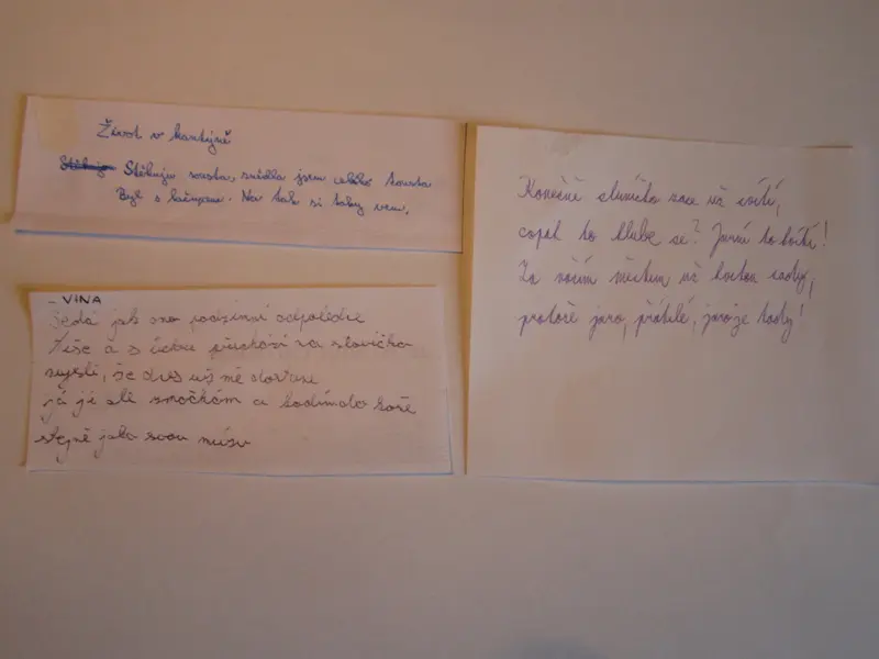 9910_Mez.denpoezie_2017/14_poezie_17