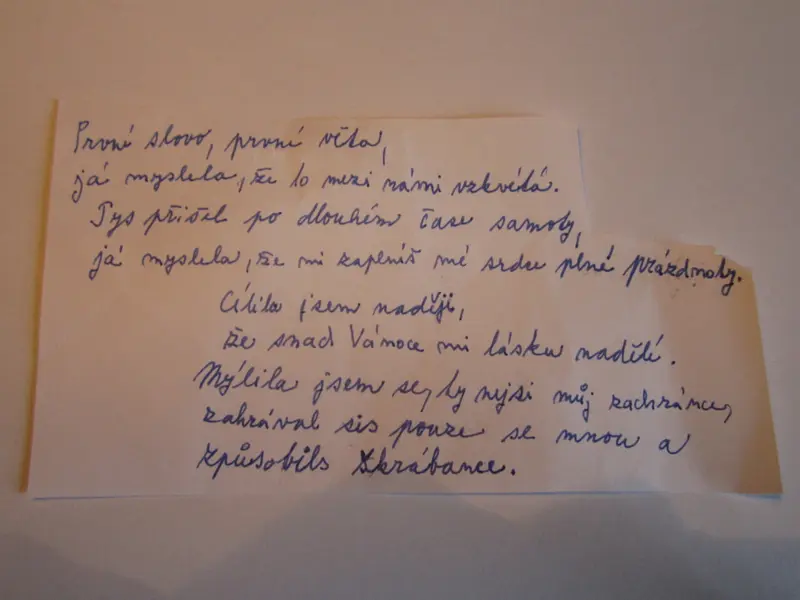9910_Mez.denpoezie_2017/16_poezie_17