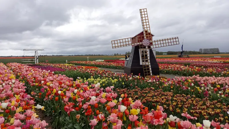 AMERSFOORT 2024 (3)