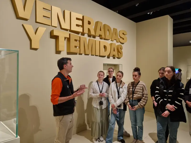 Madrid: Picasso a Dalí