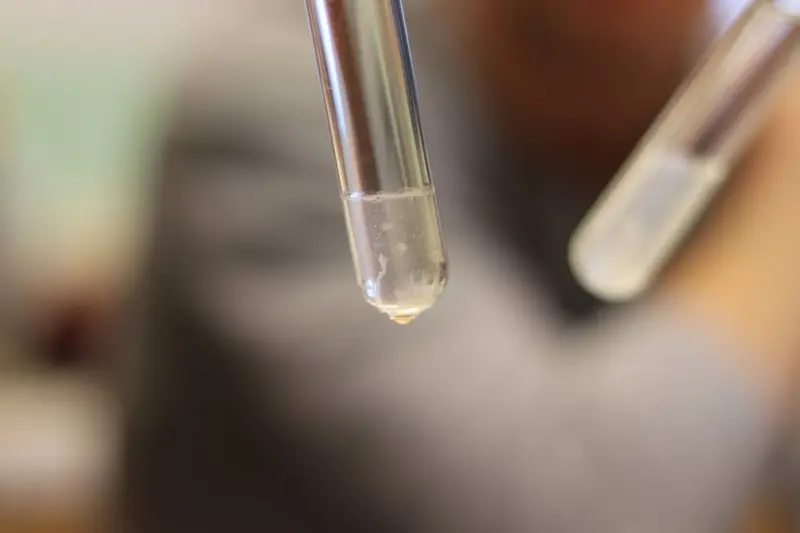Dílna DNA v oktávě