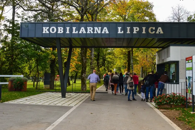 9972_zajezddoSlovinska_17/29_Slovinsko_17