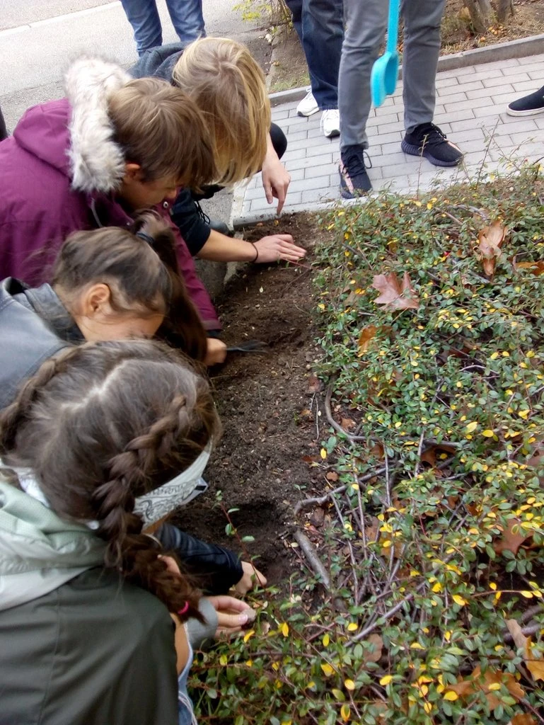 Kvarta se zapojila do mezinárodního projektu Krokus