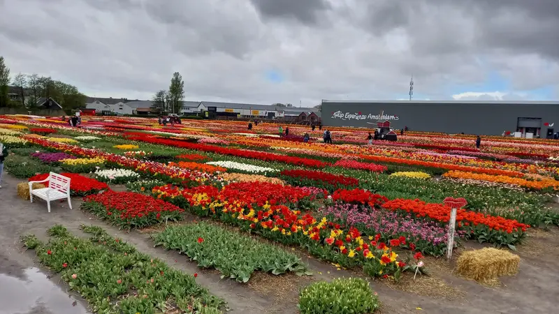 AMERSFOORT 2024 (3)
