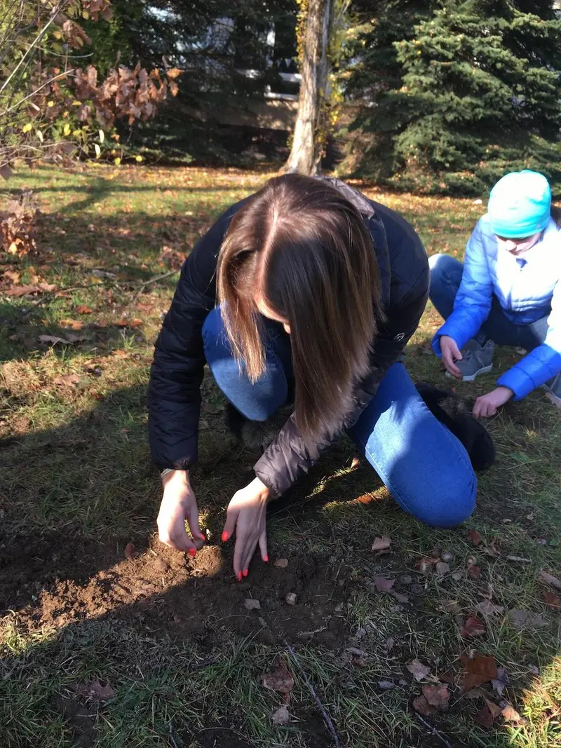 Mezinárodní projekt Krokus