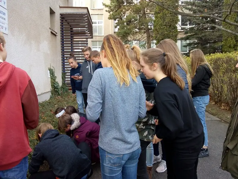 Kvarta se zapojila do mezinárodního projektu Krokus