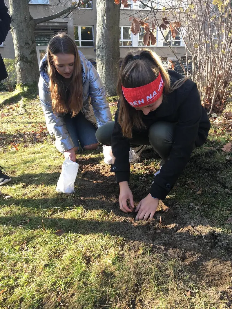 Mezinárodní projekt Krokus