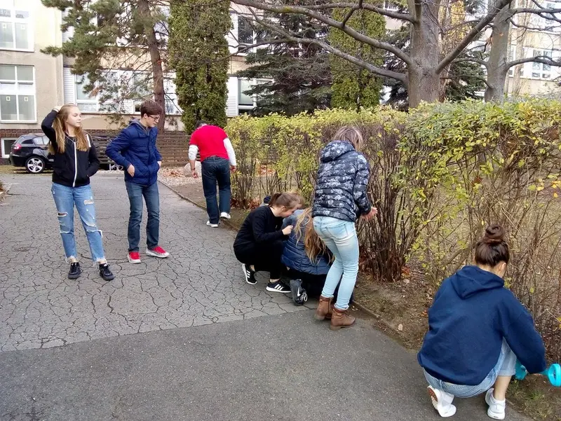 Kvarta se zapojila do mezinárodního projektu Krokus