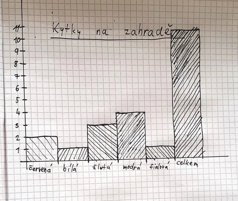 Graf_VS