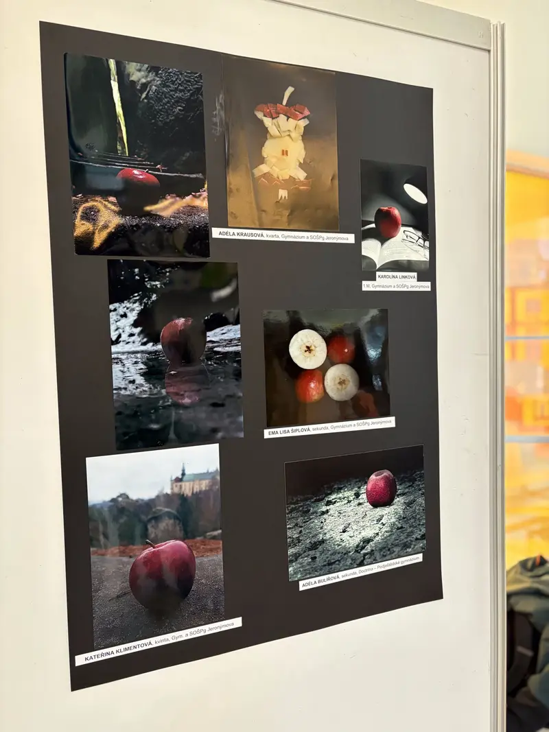Fotografická soutěž