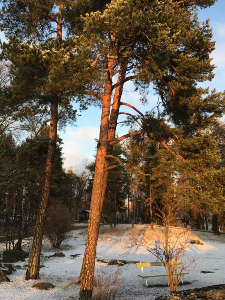 Finsko - 3. den - Helsinky