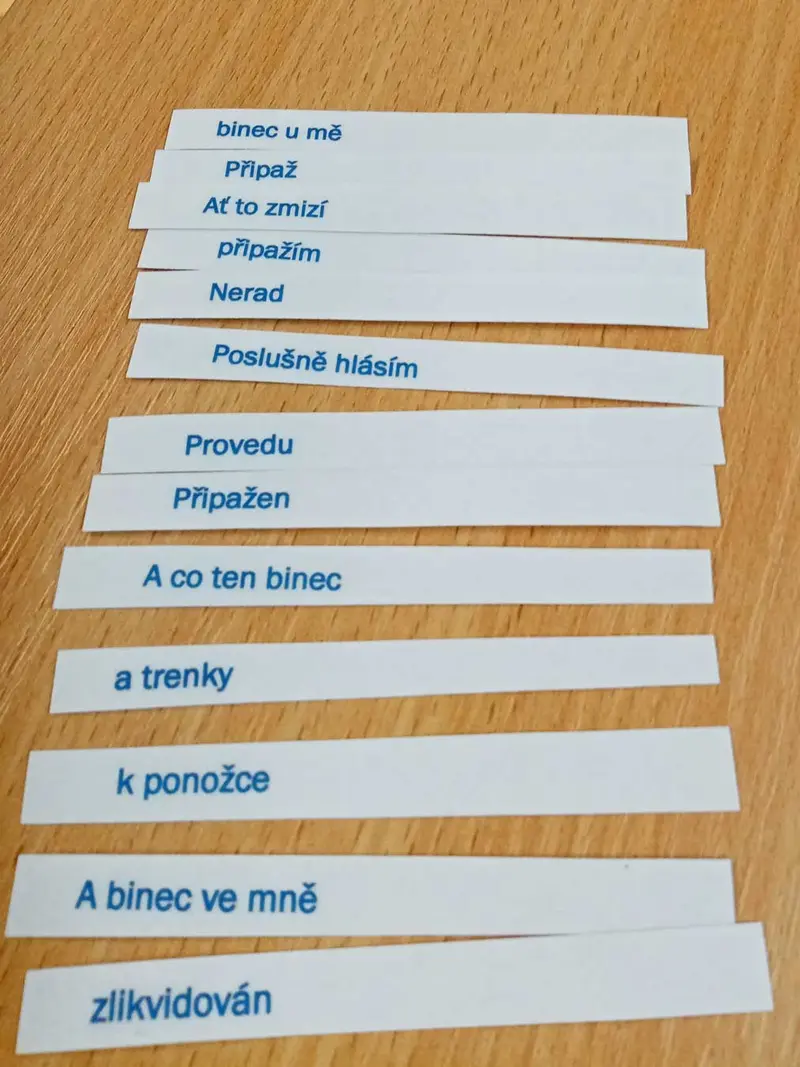 Popelka v knihovně
