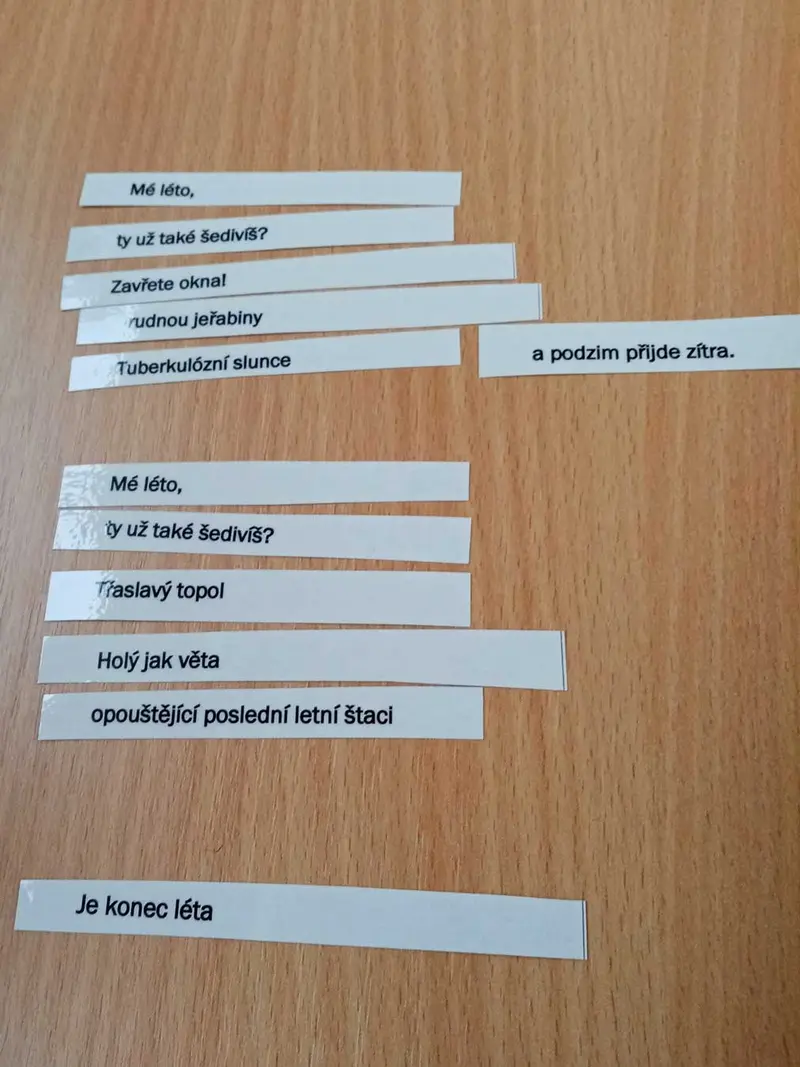 Popelka v knihovně