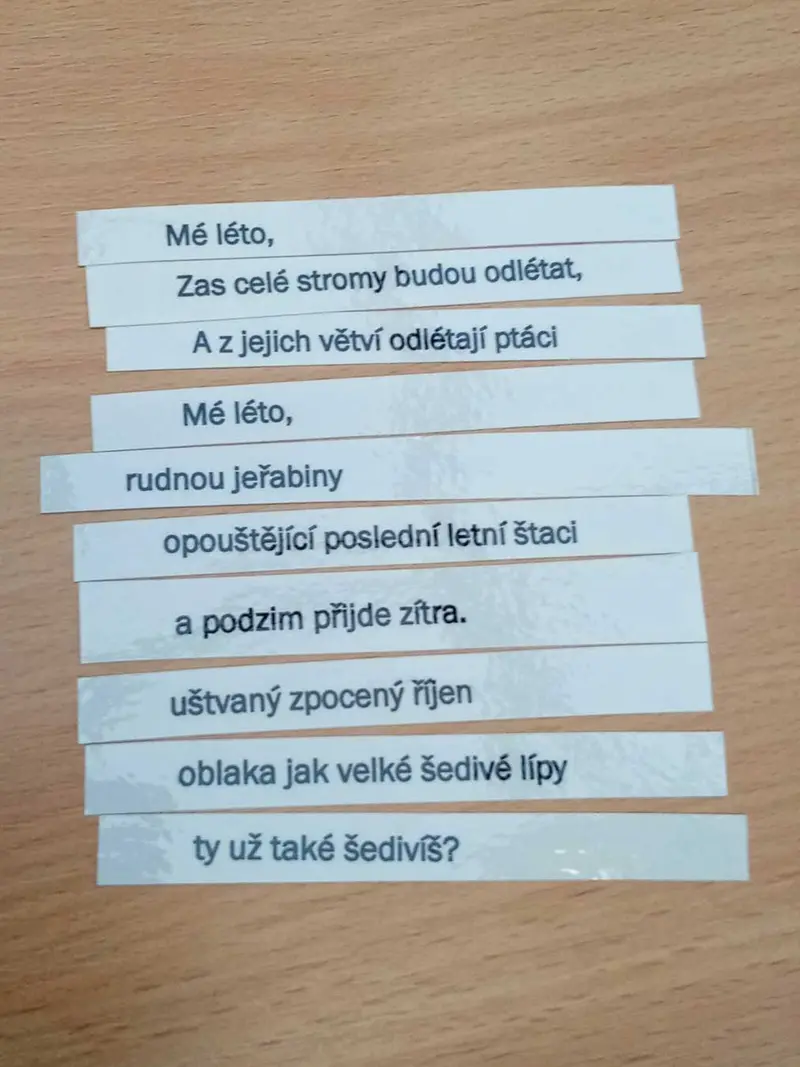 Popelka v knihovně