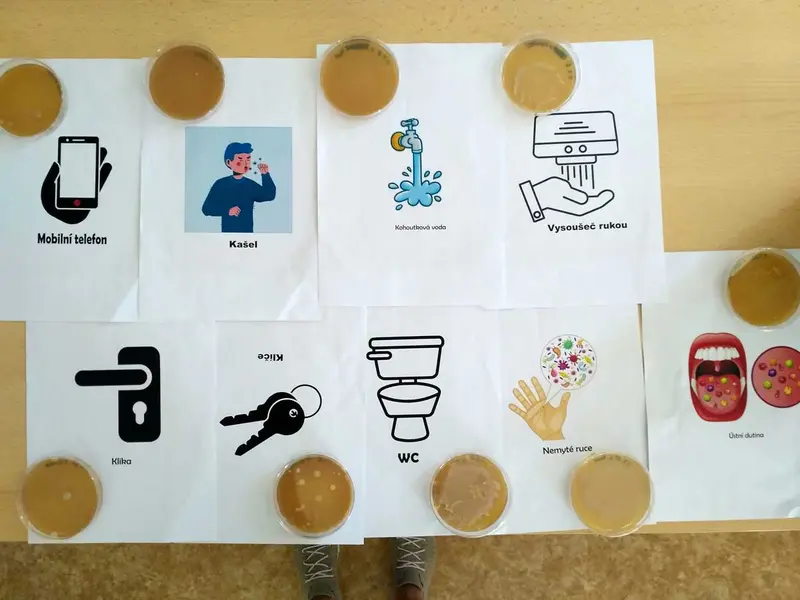 Projektový den na TUL