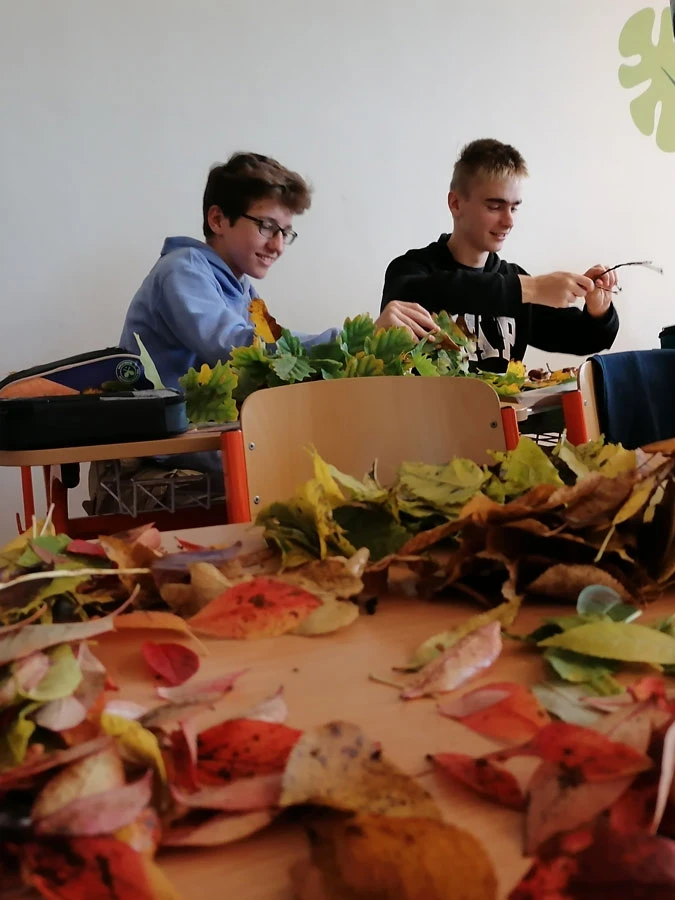 Arcimboldo v dějepisu