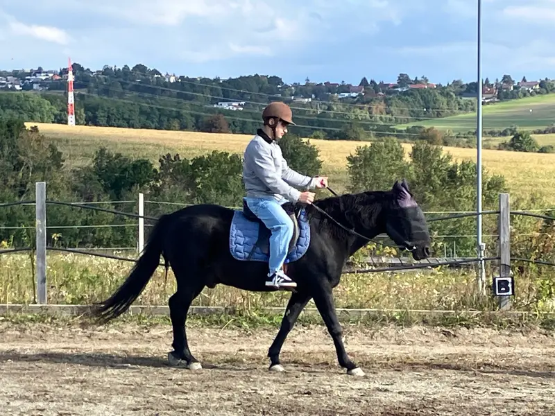 Mobilita v Košicích