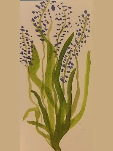 Marečková-2_w
