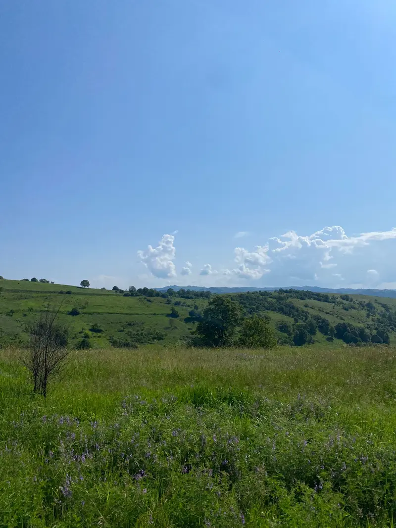 SEPTIMA V BANÁTU
